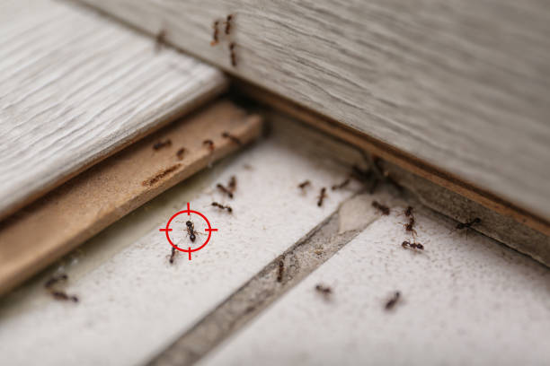Best Pest Removal Services  in Columbus, WI