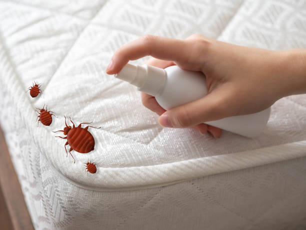 Best Flea Control Services  in Columbus, WI
