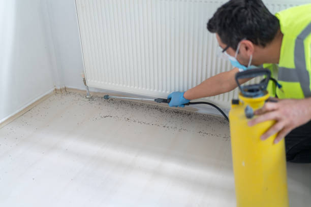 Best Local Pest Control Services  in Columbus, WI