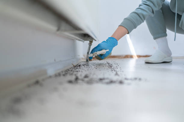 Best Bed Bug Extermination  in Columbus, WI