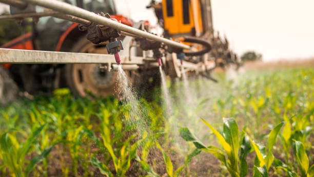 Best Pest Control for Homes  in Columbus, WI